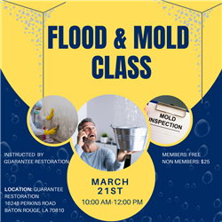 Flood and Mold Class